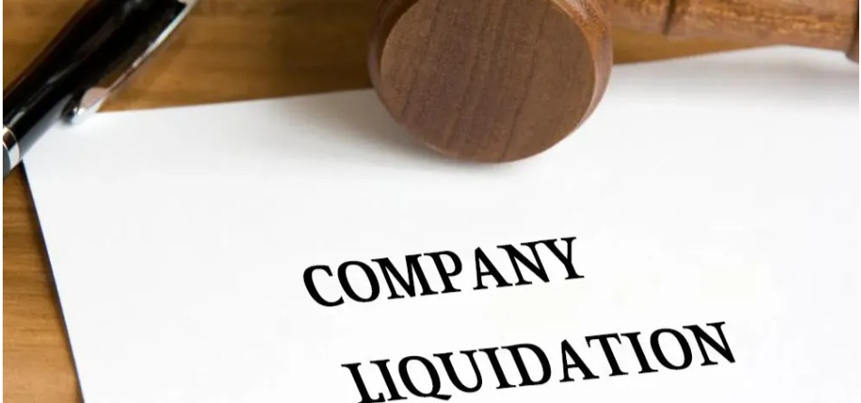 How to Start an LLC Company in Salalah Free Zone
